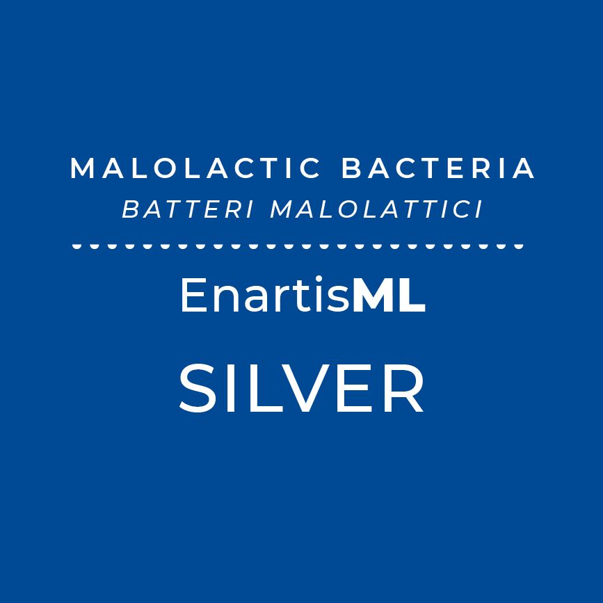 Bactéria ML Silver 25hl