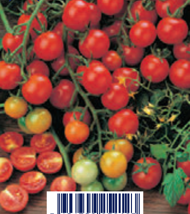 Semente tomate cereja